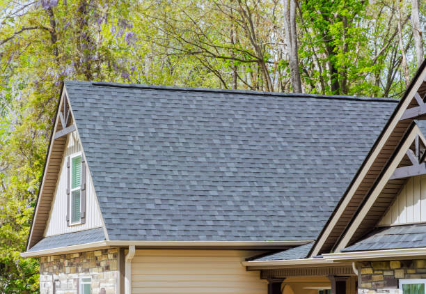 Best Solar Panel Roofing Installation  in Cohasset, MN